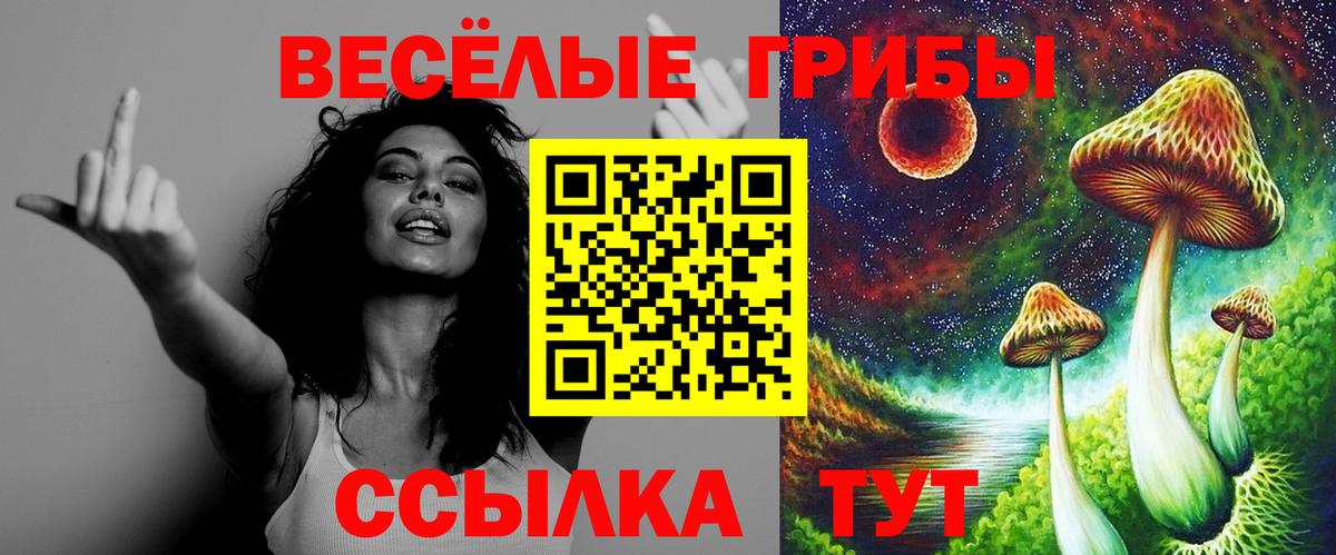 Сосновоборск  Галлюциногенные грибы Cubensis  Галлюциногенные грибы мицелий  Вход с VPN 